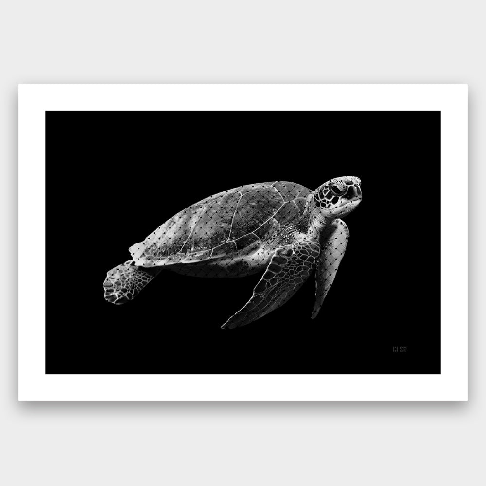 Vonu (Turtle)