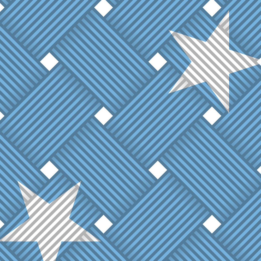 Federated States of Micronesia Weave Flag